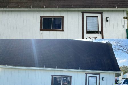 Roof, Garage and Patio Cleaning in Watsontown