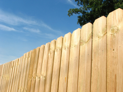 Fence cleaning